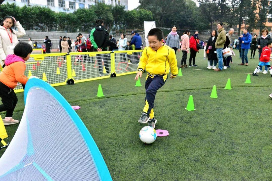 派迪茵体育有限公司,派迪茵体育直播