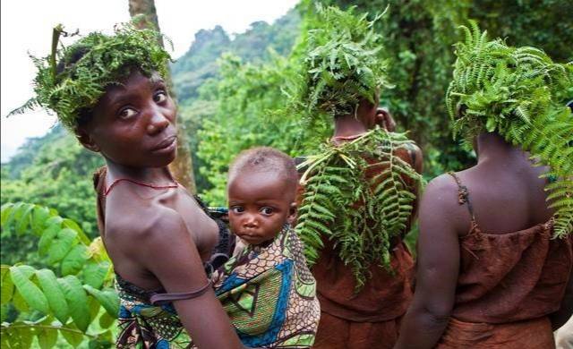 俾格米人身材如侏儒般矮小，为何8岁就能孕育下一代？