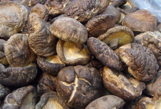 长期吃香菇的好处和坏处有哪些,经常吃香菇有什么危害