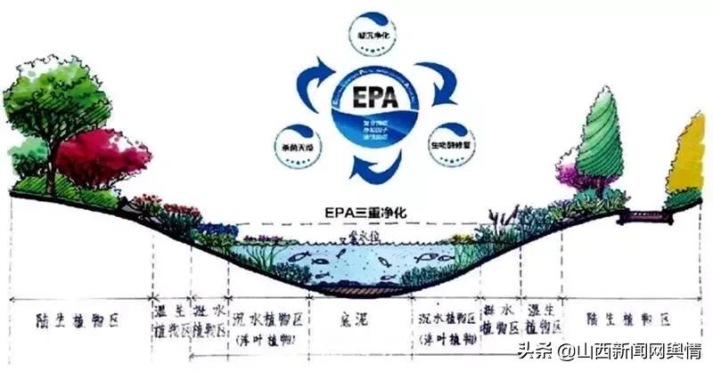 临汾十大创新项目,临汾市市长创新奖