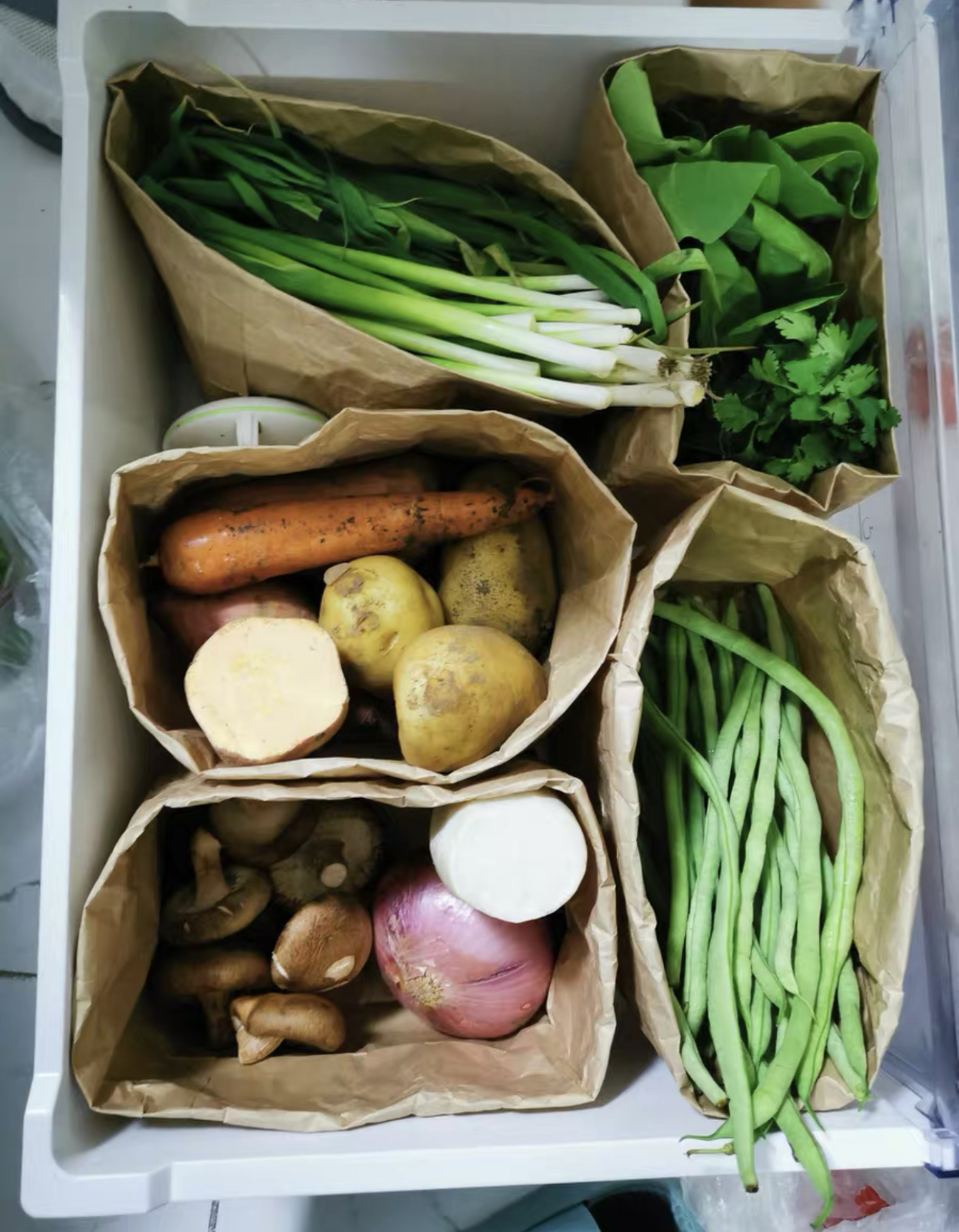 冰箱封条发霉了怎么清洗的小窍门,冰箱封条发霉清洗小妙招