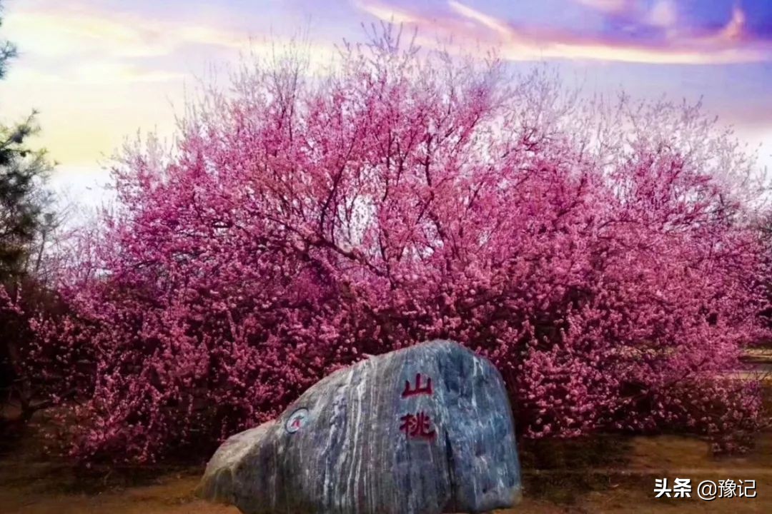 河南唯一一所211大学,河南郑大是985还是211院校