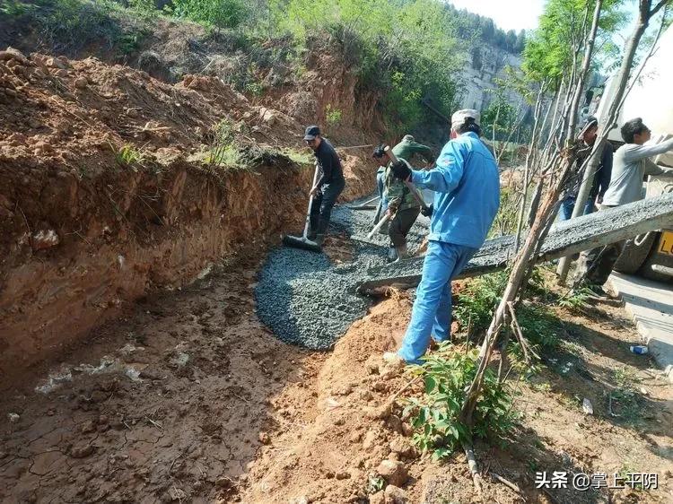 平阴新闻|晁广强成功捐献造血干细胞凯旋归来；昨日花蕾价格3.47元/斤