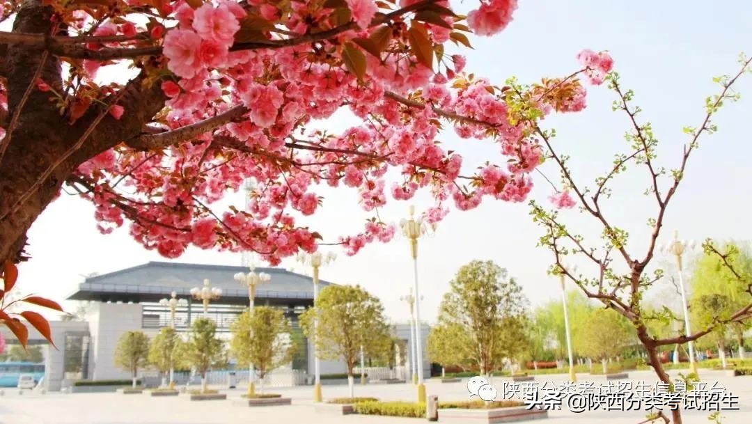 两汉三国,真美汉中|汉中职业技术学院