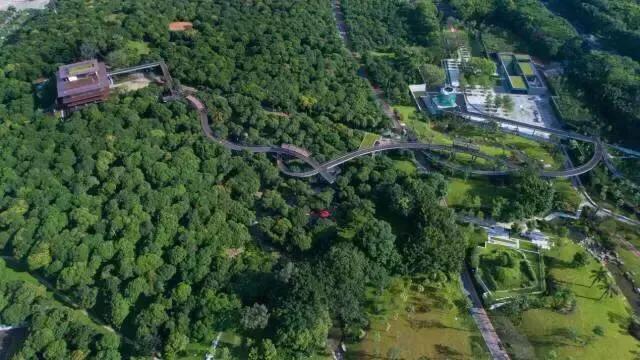 深圳花海公园推荐景点有哪些,深圳花海公园地址在哪里