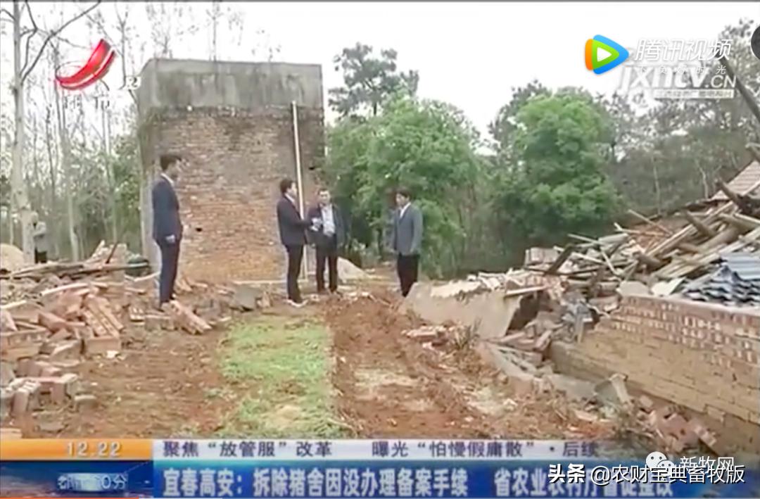 福建养猪场被强拆后续拆错了,江西养猪场被拆