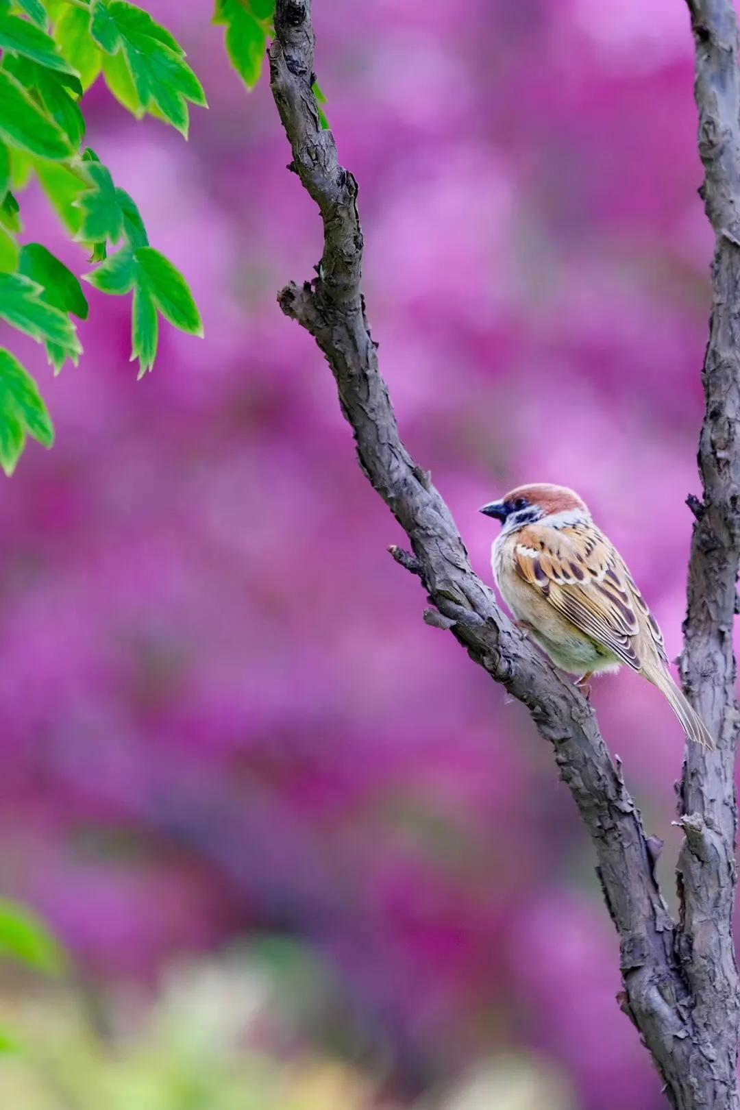 四月发生的事,东城发生的事
