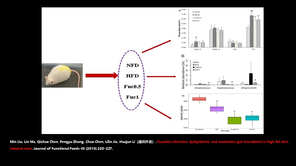 肠道菌群最新科研进展,肠道菌群与疾病的研究进展
