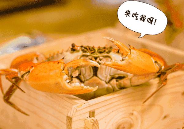 吃螃蟹标准方法,手把手教你怎样吃螃蟹教程