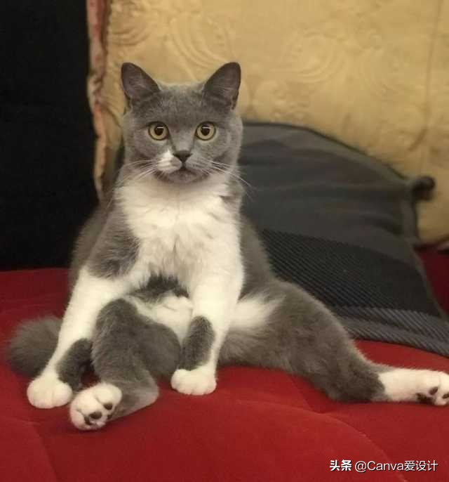 我花了350块，终于搞明白了某宝50块Logo背后的套路