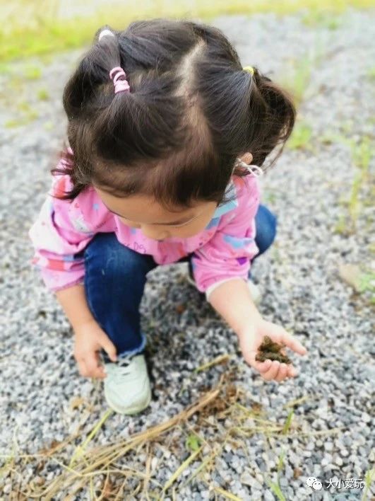 快让爱玩虫子的女儿逼疯了!孩子喜欢“恶心“的小动物怎么破