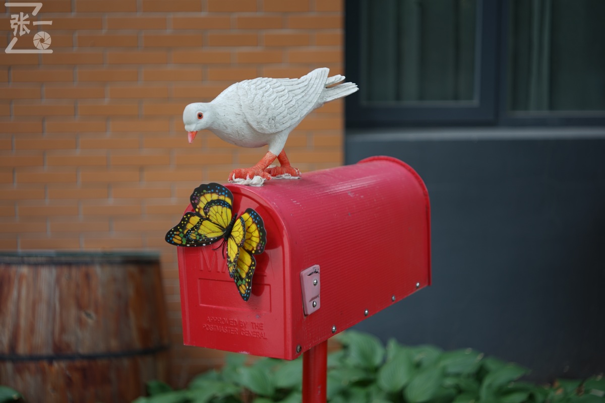 适合索尼a7m4的50定焦镜头测评,索尼a7m4镜头24-105f4测评