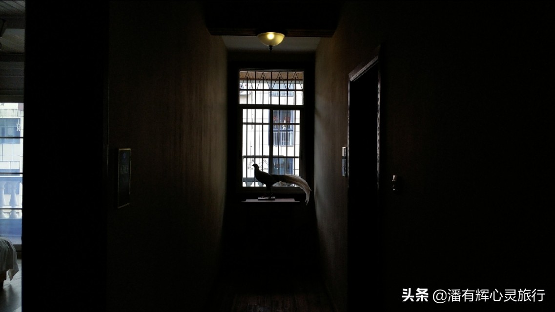 徒步第76天，做主播到现在有些粉丝不喜欢给我刷网上的礼物