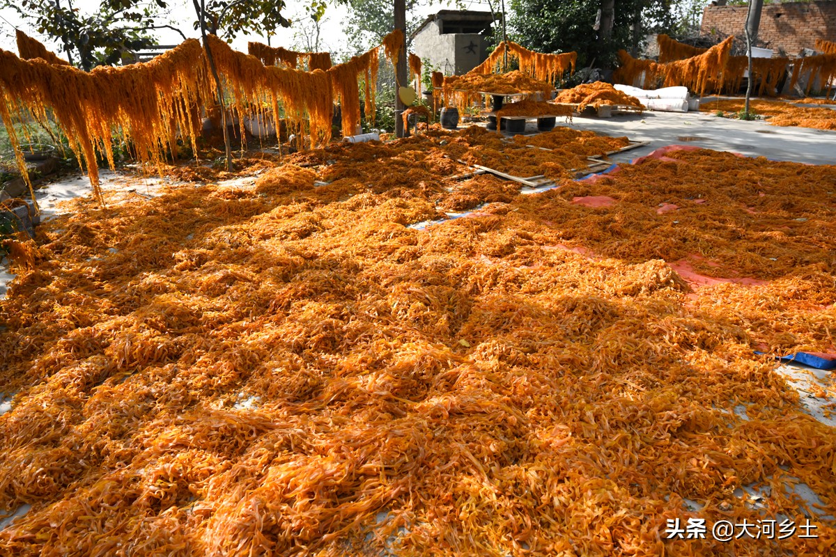 儿子从大企业辞职回乡卖“金饼”,父亲脸上笑开花:一年挣几十万