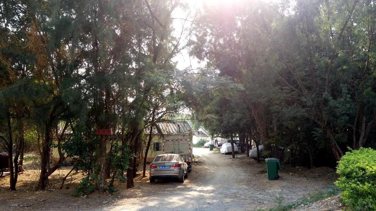 侨港边上的大、小老虎村,房租很低但住的人却很少,如今面临改造