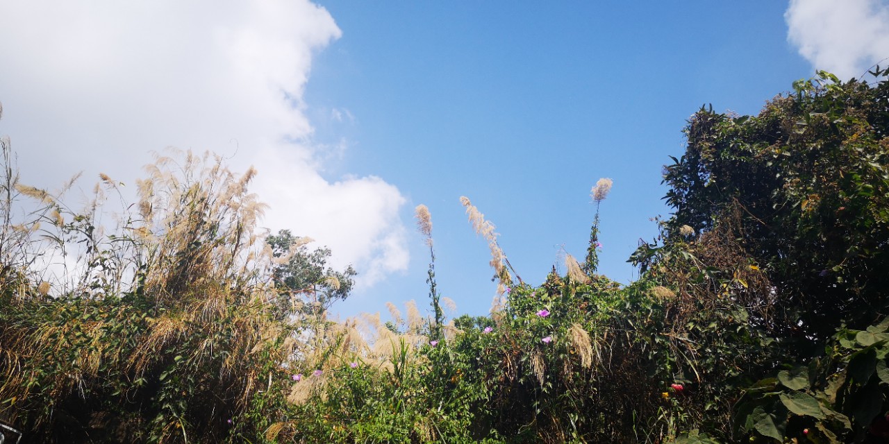 深圳甘坑客家小镇春节旅游,深圳古镇甘坑客家小镇攻略