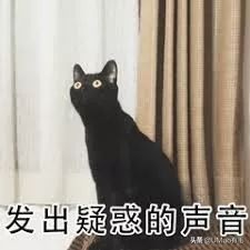 养猫这么多年你怎么连碗都摆不对 (养猫省钱妙招猫碗)