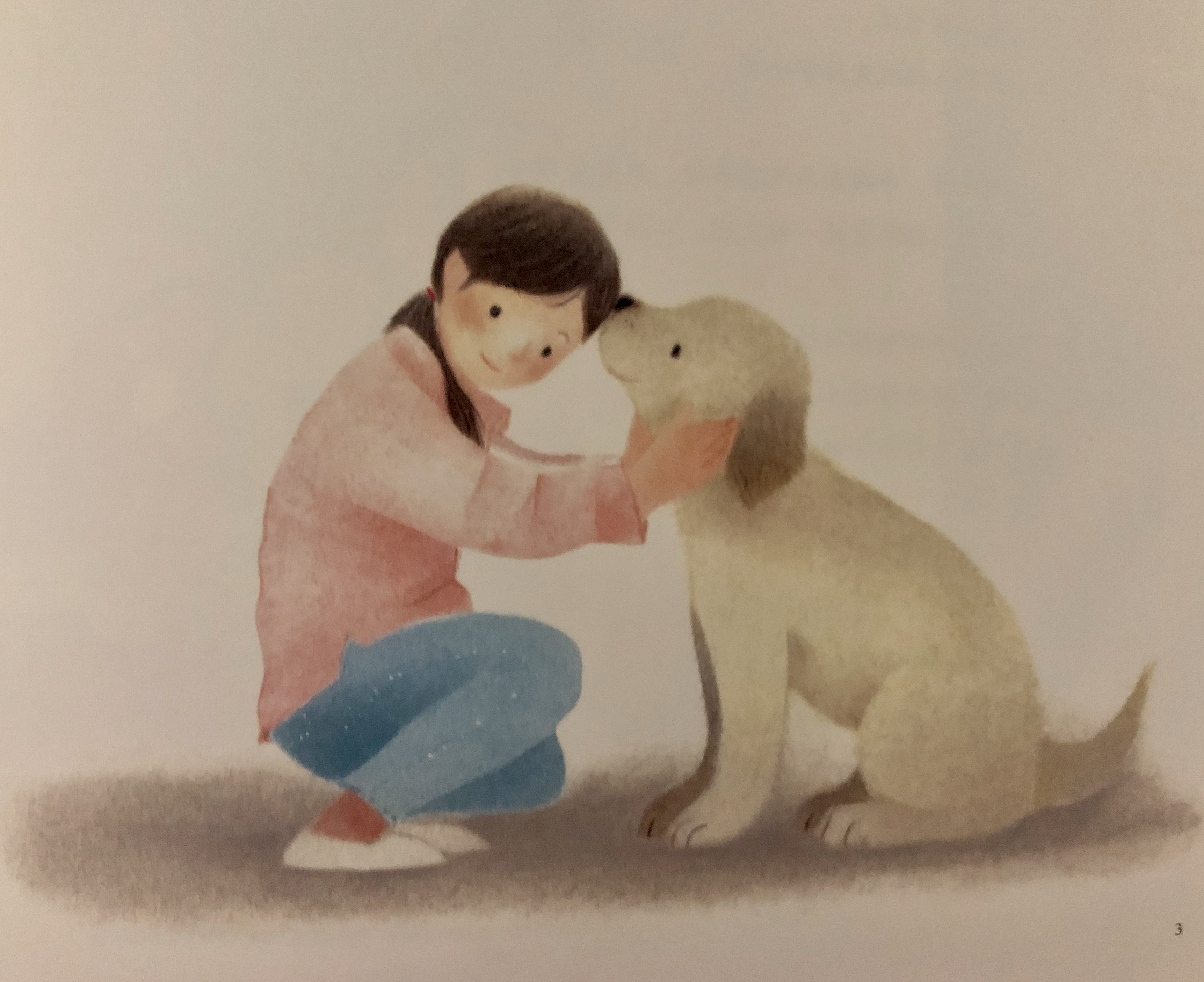 导盲犬的一生五个特征,导盲犬的生命历程回顾