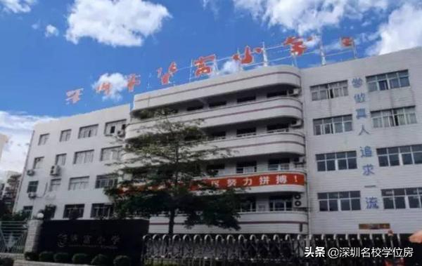 深圳小学10强有哪些,深圳各区小学教育综合实力排名