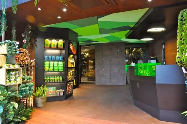 如何装修宠物店高端大气,如何运营一家高端宠物店