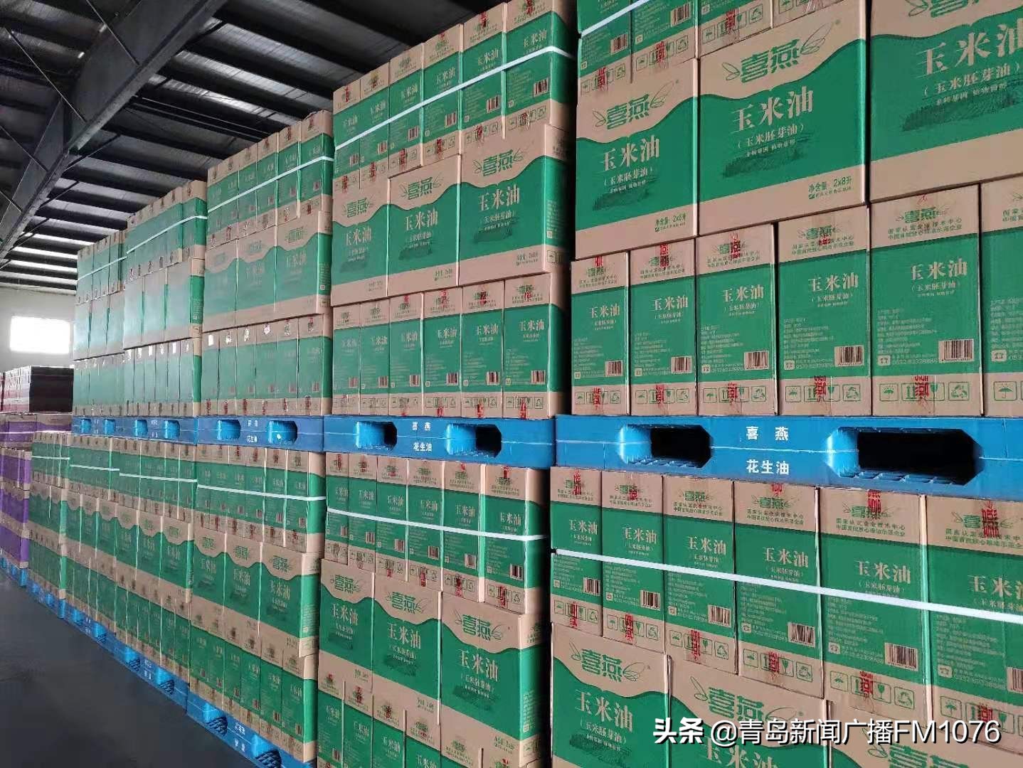 打造千亿农业助推乡村振兴,青岛乡村振兴新政策