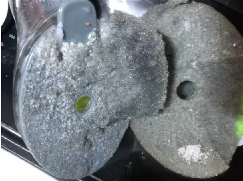 被国人忽略的5款神器,最实用的鸡肋神器是什么