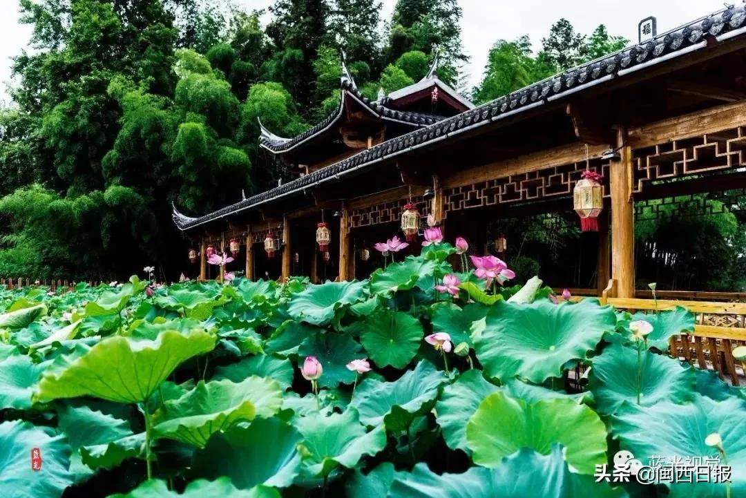 赞！古田、土楼、冠豸山…龙岩这些景点向全国医务工作者免费开放