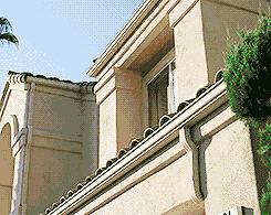 现实中存在的20种恐怖重口的小玩意，你能坚持看到第几个？