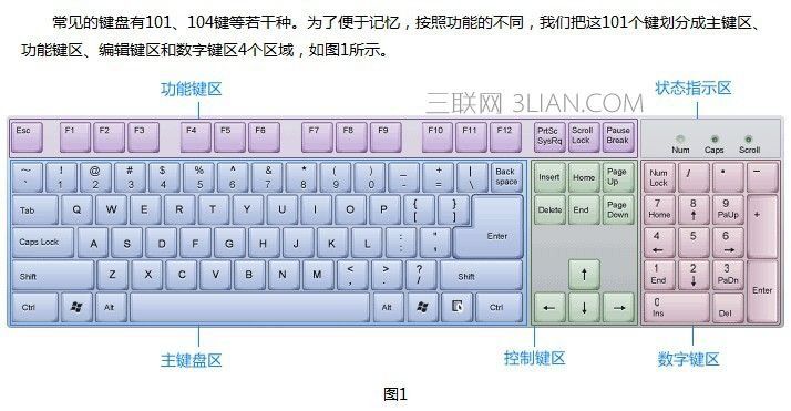 零基础学打字最快的方法电脑,0基础学打字教程手机