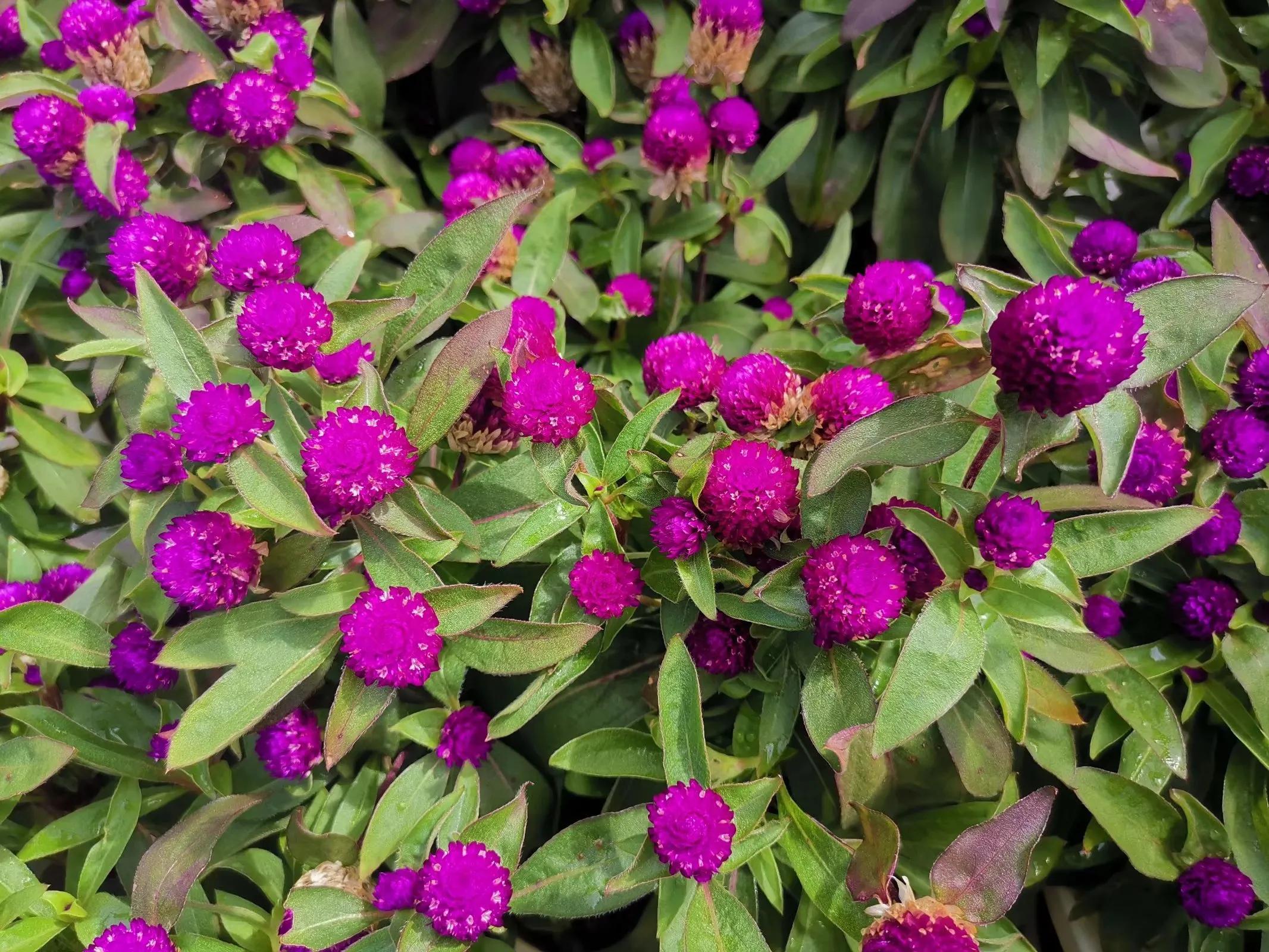 记忆模糊的三年,记忆回到三年前