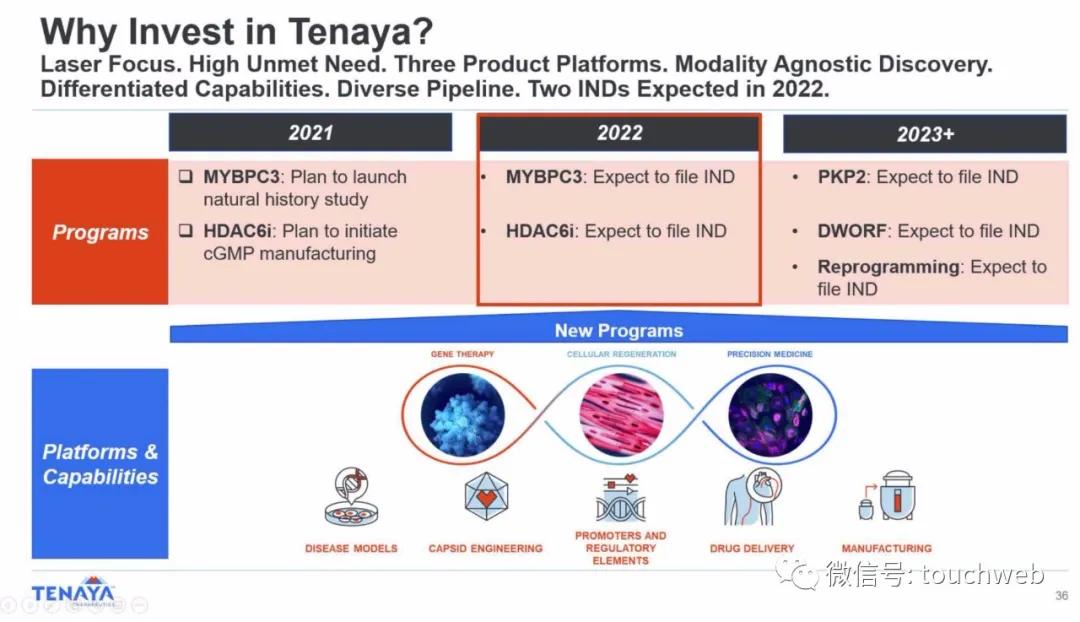 基因疗法相关上市公司,tenaris公司