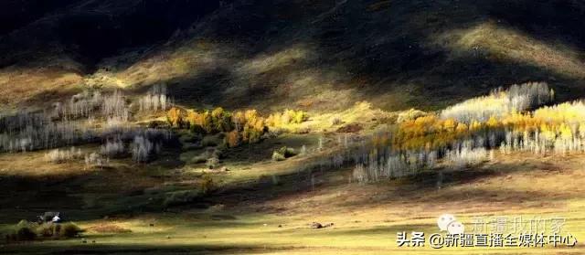 *疆新**人这么牛逼，你不知道吧