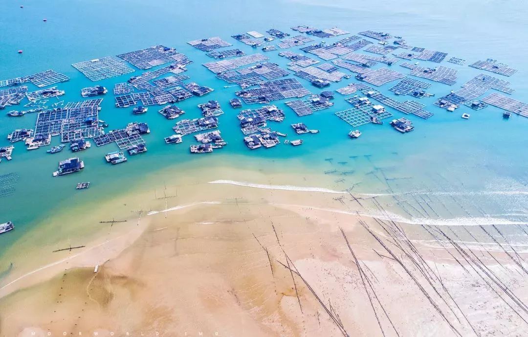 离厦门1小时车程的两个古城,厦门最大千年古城