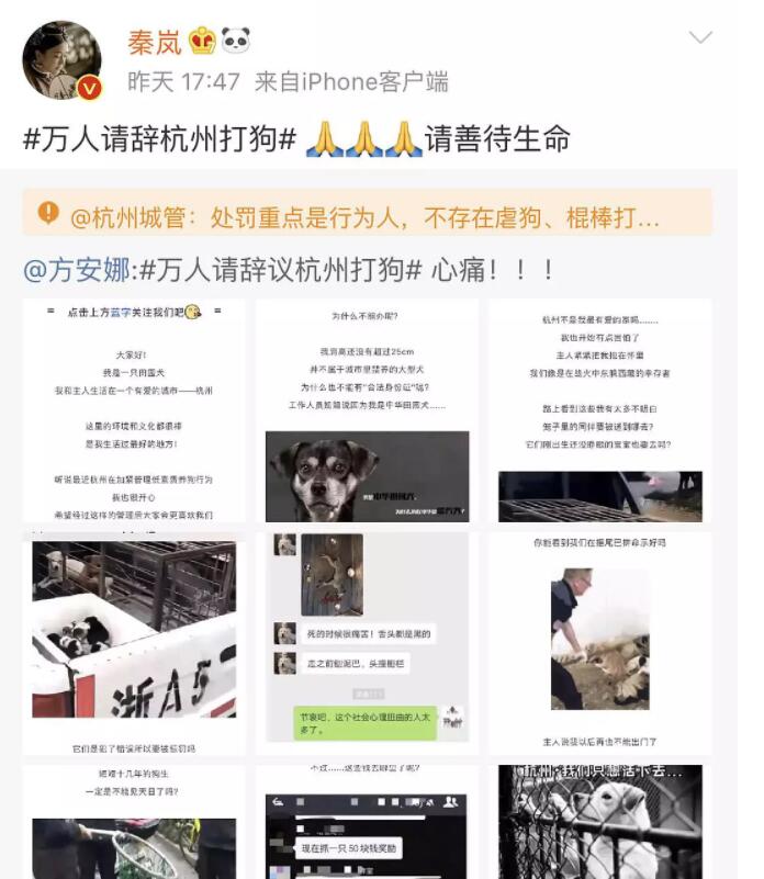 秦岚真的是白到发光,秦岚工作室近况