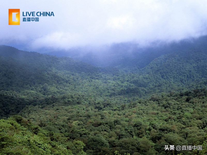 cnn评世界最美景点,外国人评出的中国最美十五个景区