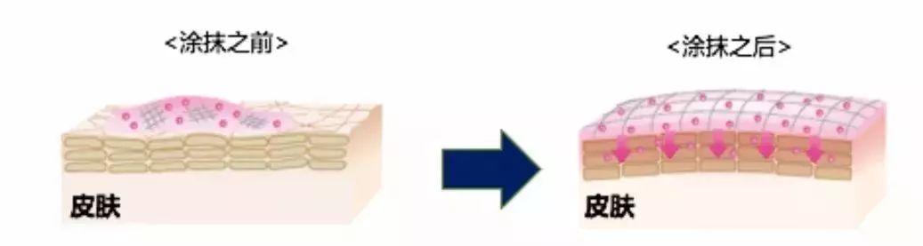 干皮娇韵诗双萃和红腰子哪个好,娇韵诗双萃精华跟红腰子哪个更好