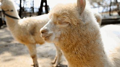 辽宁省有个小城市,辽宁最有魅力的小城