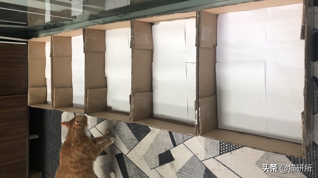 选猫砂防臭,天然矿石猫砂推荐测评