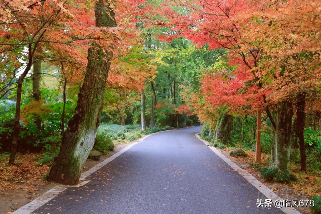 6月份的杭州九溪好看吗,这个季节杭州去哪里玩