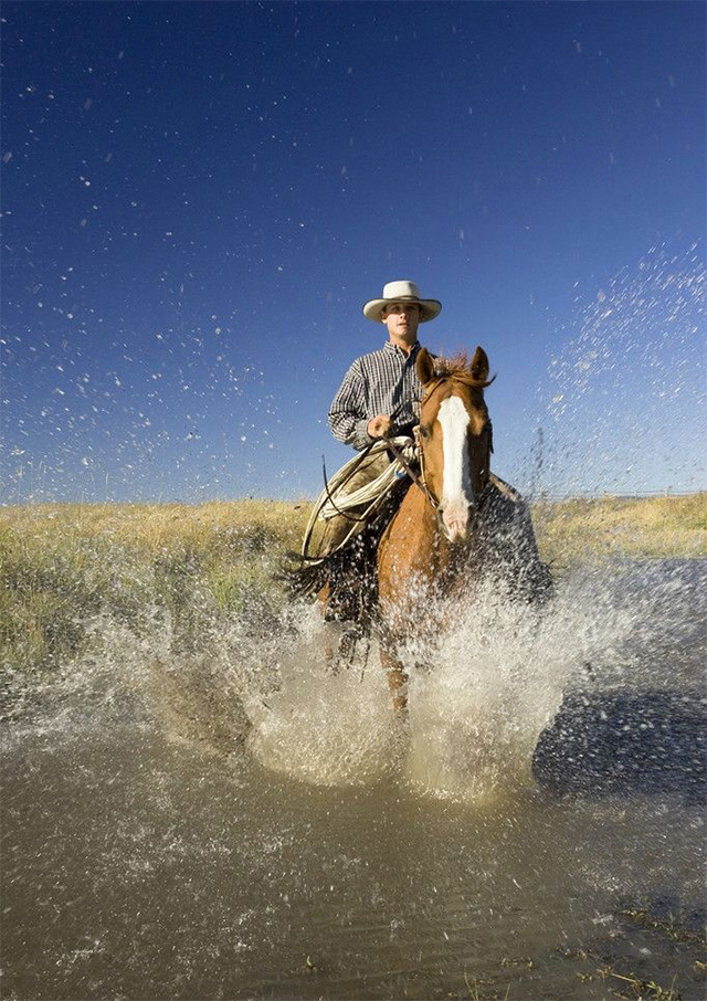 呼伦贝尔骑马体验,骑马什么体验
