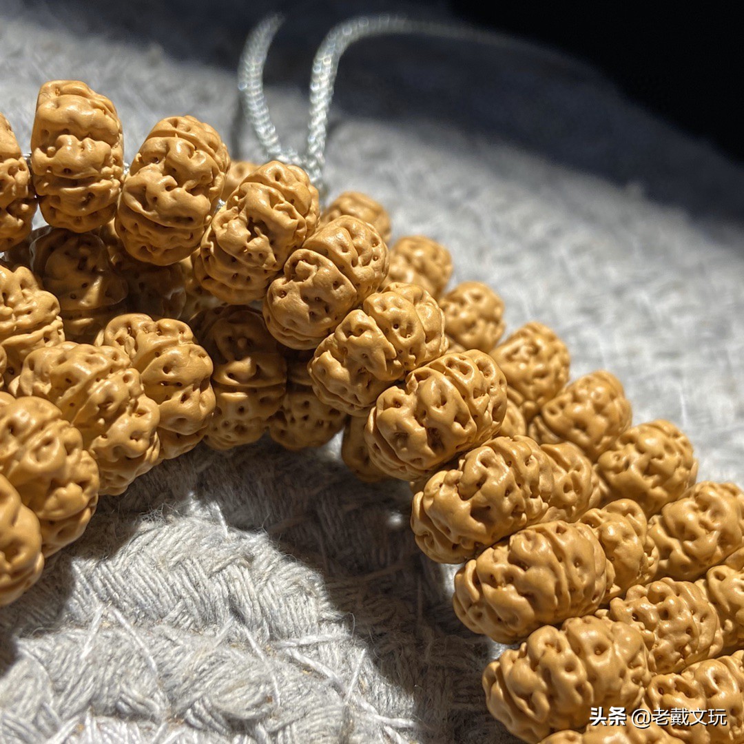 文玩手串金刚菩提心得,小金刚菩提子基础知识