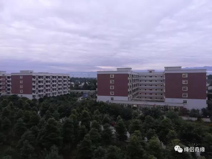 川影最美辅导员,川影播音主持辅导员