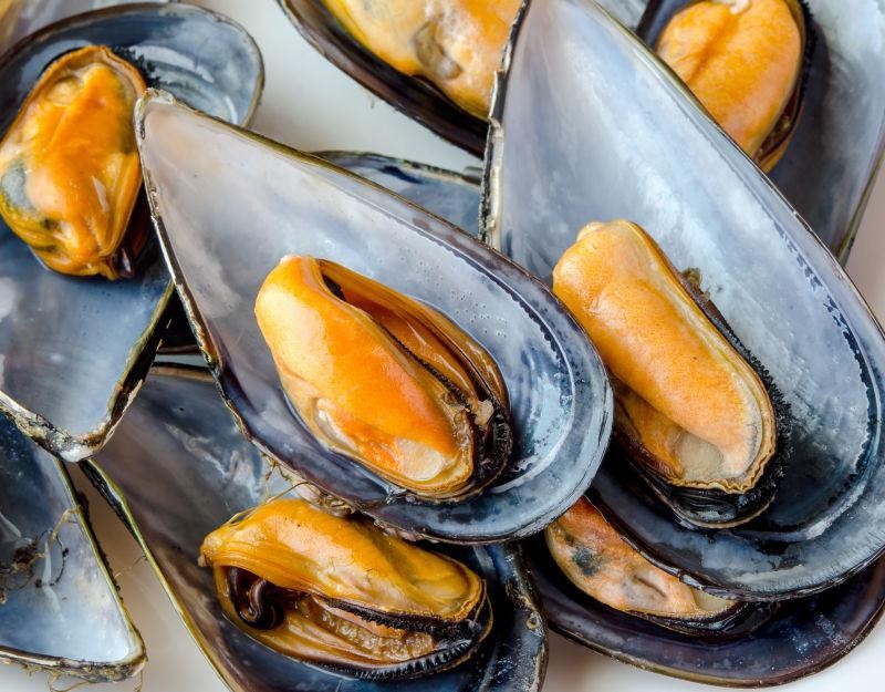 比眼镜蛇毒更厉害的动物,比眼镜蛇还毒20倍的海鲜