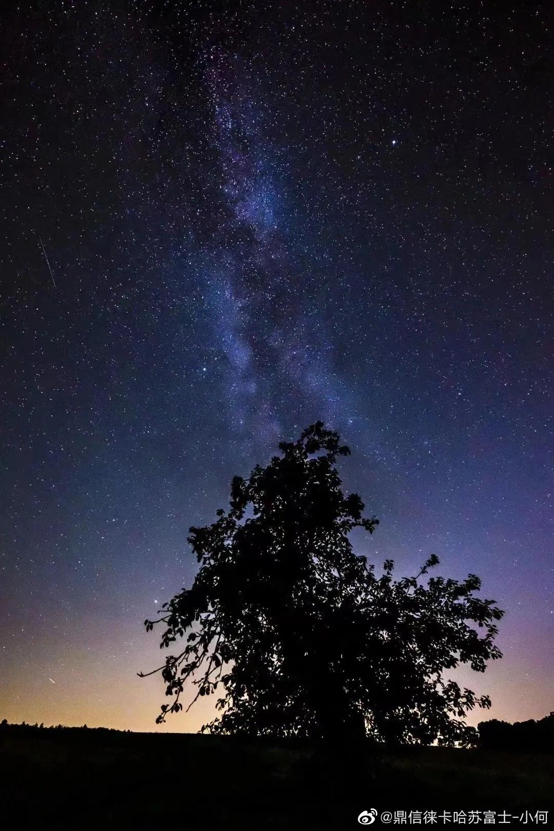 相机国际品牌徕卡,徕卡sl2相机评测