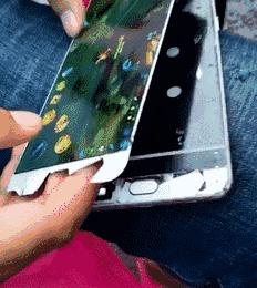 这只鹦鹉一直以为他是一只猴,所以每天都在重复做这个动作