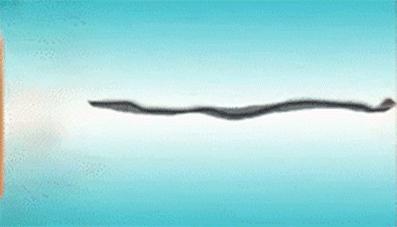 比日本“冷感科技”更硬核！国产冰感席亮相：躺上面比裸睡还爽