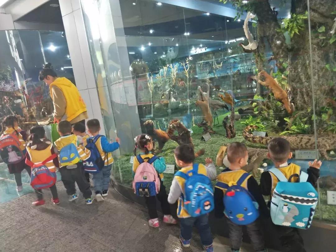 汇爱幼稚园对面幼儿园,汇爱幼稚园郑地璞园校区