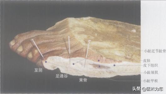 孕期总担心胎儿不健康怎么办,孕妇胎位不正医生纠正标准动作