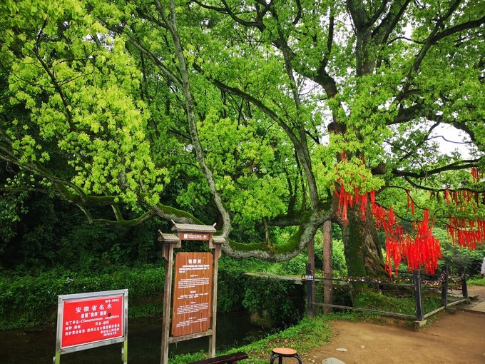 安徽唐模古村图片大全,黄山徽州唐模村