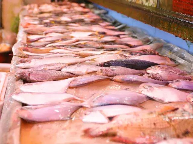 深汕生日快乐,深圳经济特区的生日